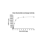 Kras Q61K Nucleotide Exchange Assay Kit
